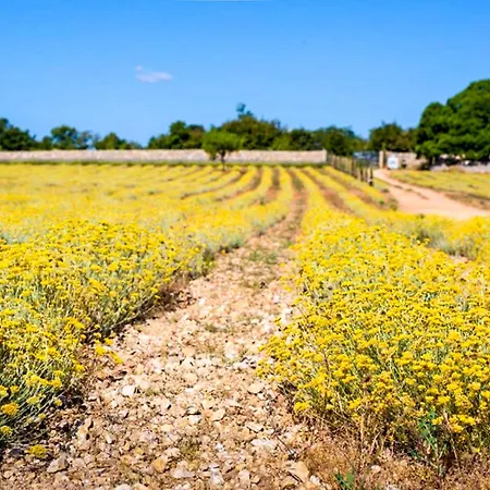 Alenka By Interhome *