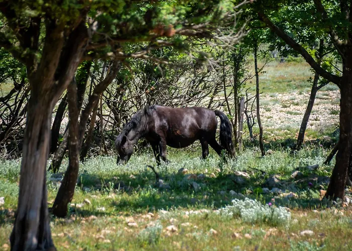 Alenka By Interhome דירה אומיסאליי