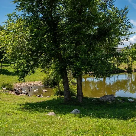 Alenka By Interhome * Omišalj