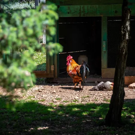 Alenka By Interhome * Omišalj