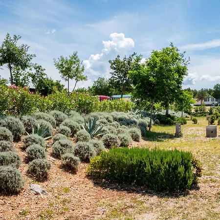 Alenka By Interhome Apartamento